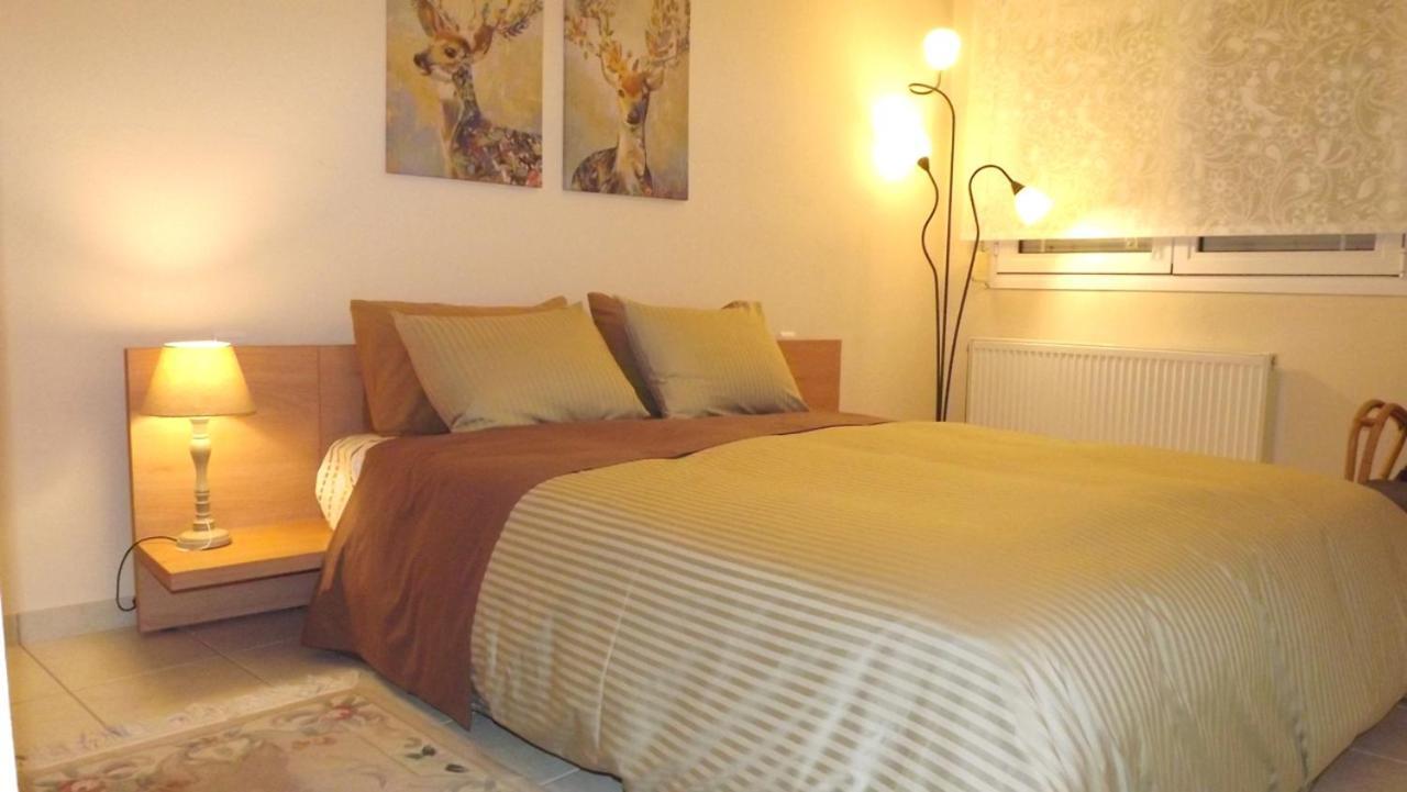 Brilliant House Apartment โวโลส ภายนอก รูปภาพ